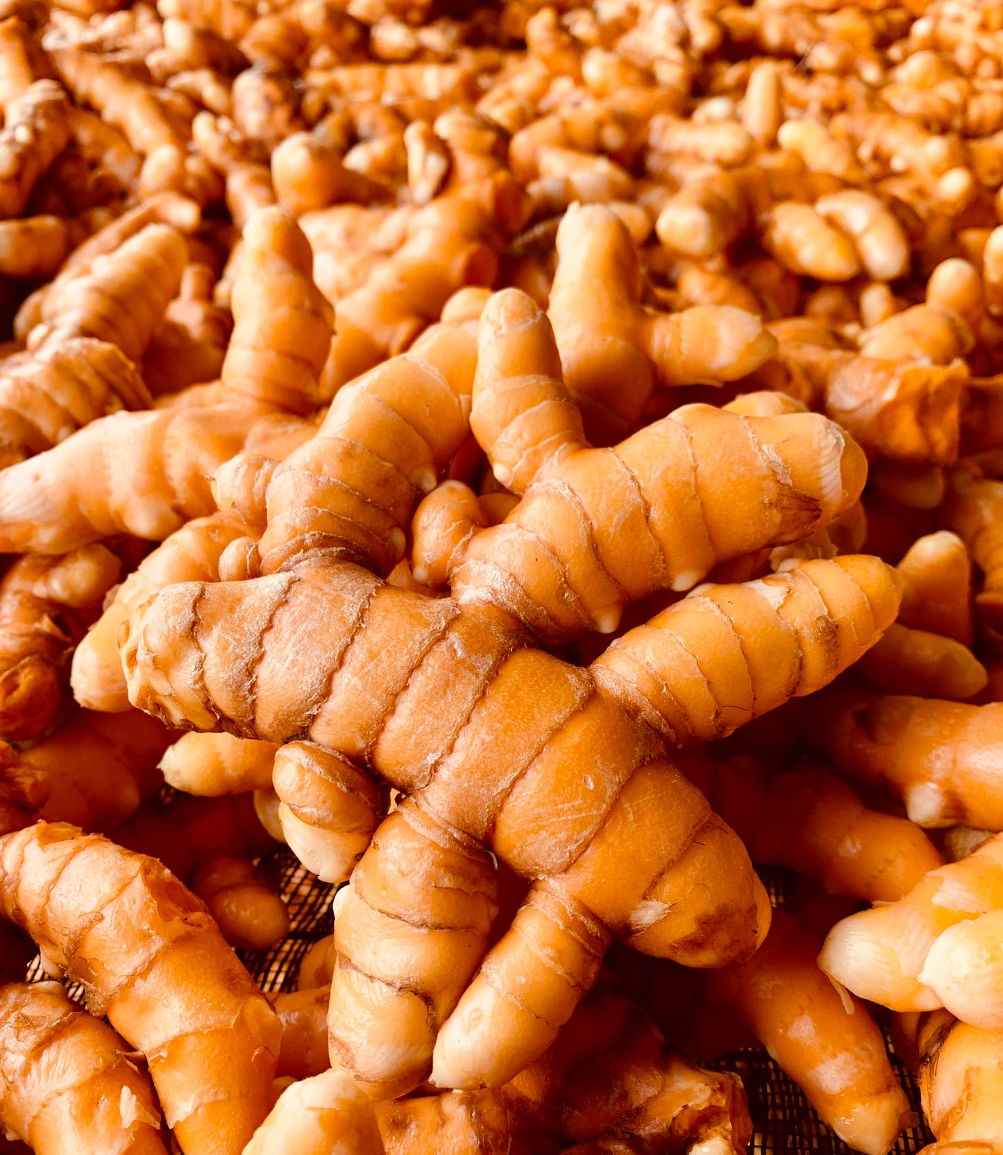 Hawaiian Organic Turmeric Root ('Olena)